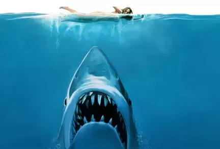 Top 10 Shark Movies Ranked to Celebrate 50th Anniversary of 'Jaws'
